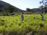 Fazenda a venda Porto Murtinho 4.411 hectares: