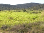 Fazenda a venda Porto Murtinho 4.411 hectares: