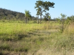 Fazenda a venda Porto Murtinho 4.411 hectares: