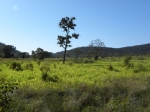 Fazenda a venda Porto Murtinho 4.411 hectares: