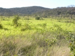 Fazenda a venda Porto Murtinho 4.411 hectares: