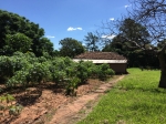 Fazenda a venda em Campo Grande/MS 600  hÁ.: